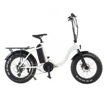 20 Inch 36V 350W Fat Tyre Folding Electric Bicycle/Bike, Ebike with 10.4ah Battery